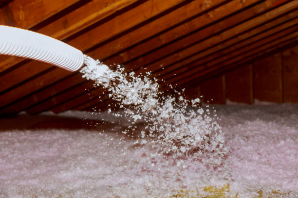 Best Best Insulation Companies  in Manistee, MI