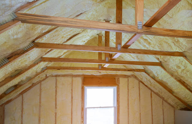 Best Blown-in Insulation  in Manistee, MI