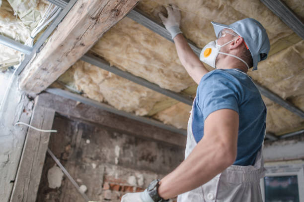 Best Affordable Insulation Services  in Manistee, MI