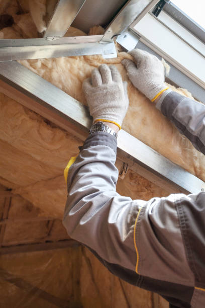 Best Garage Insulation Installation  in Manistee, MI