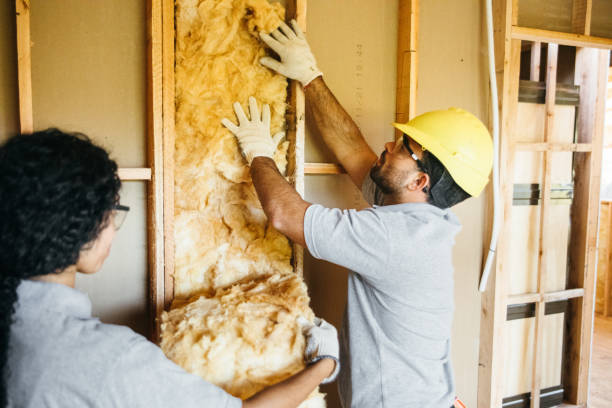 Best Fiberglass Insulation  in Manistee, MI