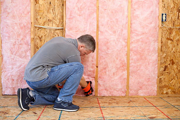 Best Soundproof Insulation Installation  in Manistee, MI