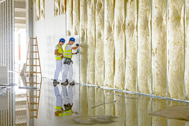 Best Energy-efficient Insulation  in Manistee, MI